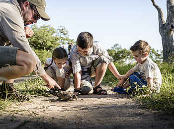 Singita Boulders Lodge: Schildkröte