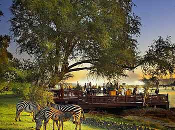 The Royal Livingstone: Zebras im Hotelgarten The Royal Livingstone: Zebras im Hotelgarten