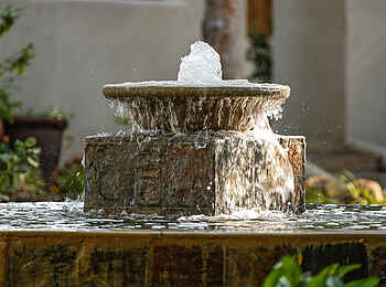 Notten's Bush Camp: Springbrunnen Notten's Bush Camp: Springbrunnen