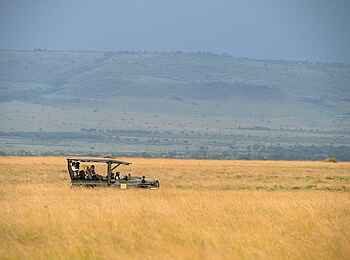 Paradise Plains Camp: Pirschfahrt