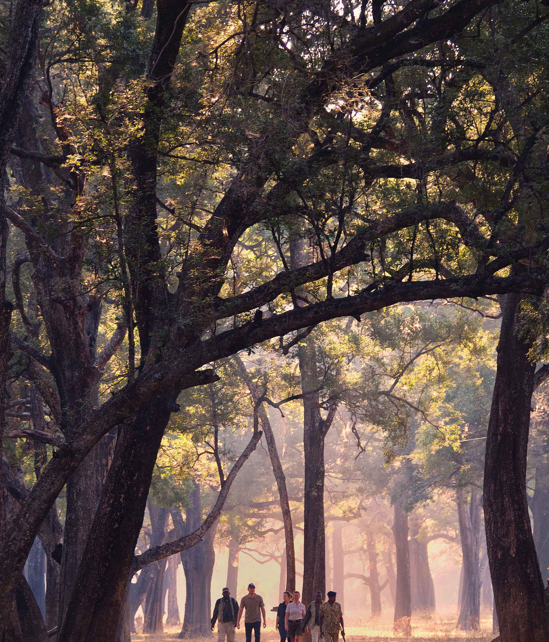 afrikarma, Bush Camp, Luangwa, Luxus, Mchenja, Nachhhaltigkeit, Safari, Sambia, South Luangwa National Park, Time + Tide, Time + Tide Mchenja, Walking Safari, Weite, Wildnis, Wildtiere, Afrikarma Safaris, Afrikarma Safaris. Wildnis. Hautnah., afrikarma.de, Time + Tide Africa, Tiere und Aktivitäten