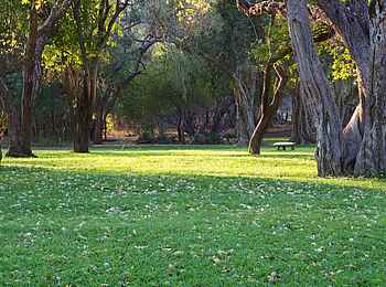 Tuli Safari Lodge Mashatu: Großer Garten