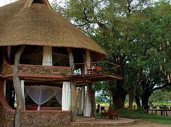 Luangwa Safari House: Leberwurstbaum neben dem Haus Luangwa Safari House: Leberwurstbaum neben dem Haus