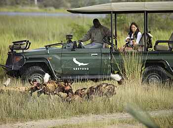 Nxabega Okavango Tented Camp: Wildhunde aus der Nähe