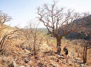 Nxamaseri Island Lodge: Ausflug zu den Tsodilo Hills Nxamaseri Island Lodge: Ausflug zu den Tsodilo Hills