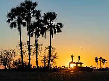 Planet Baobab: Im Gegenlicht Planet Baobab: Im Gegenlicht