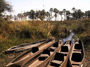 Sandibe Okavango Safari Lodge: Mokoro-Anlegestelle Sandibe Okavango Safari Lodge: Mokoro-Anlegestelle