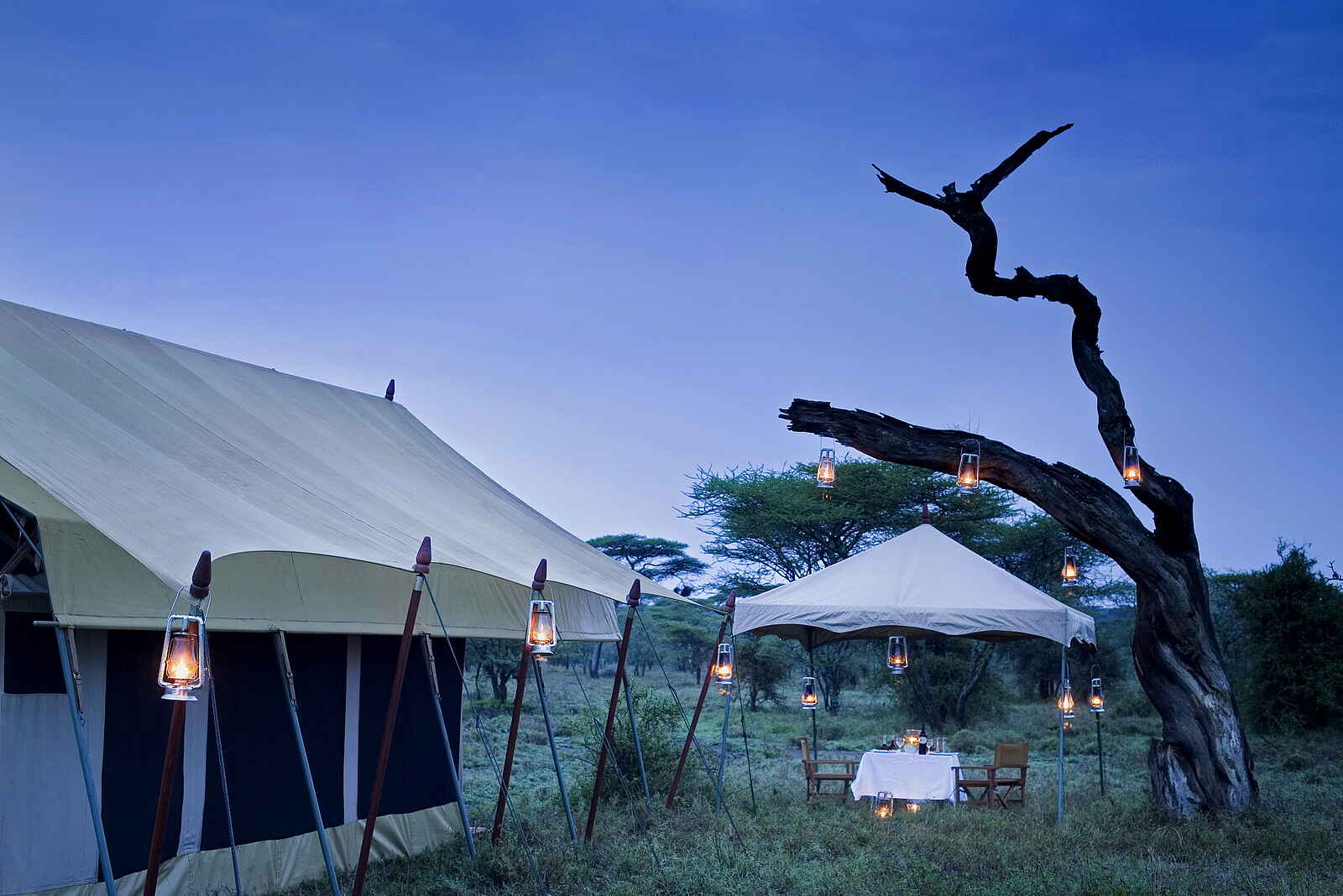 Serengeti under Canvas: Zeltexterieur Serengeti under Canvas: Zeltexterieur