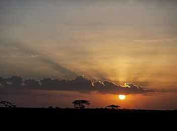 Serian's Serengeti South Camp: Sonnenuntergang
