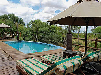Tarangire Treetops: Am Pool