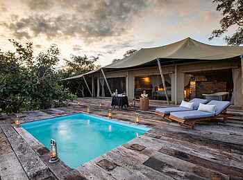 Tembo Plains Camp: Ein Gästepool