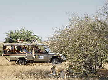 Tipilikwani Mara Camp: Game Drive