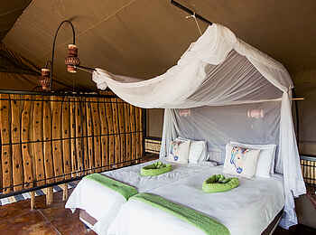 Jackalberry Tented Camp: Doppelbett mit Moskitonetz