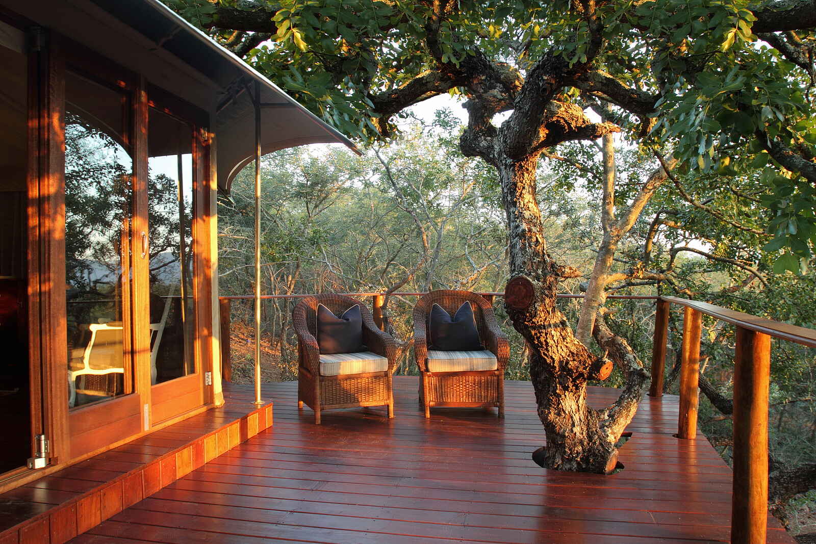 Thanda Tented Camp: Privates Holzdeck Thanda Tented Camp: Privates Holzdeck
