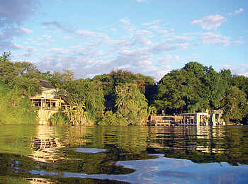 Chobe Safari Lodge: Blick auf die Uferfront Chobe Safari Lodge: Blick auf die Uferfront
