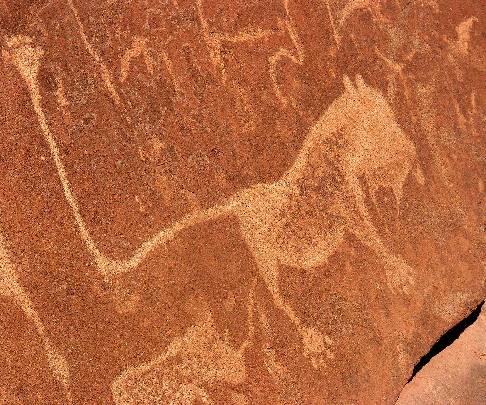 Damara Mopane Lodge: Twyfelfontein-Felsmalerei Damara Mopane Lodge: Twyfelfontein-Felsmalerei