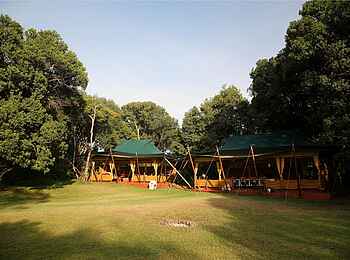 Elephant Pepper Camp: Eingefügt in die Natur Elephant Pepper Camp: Eingefügt in die Natur