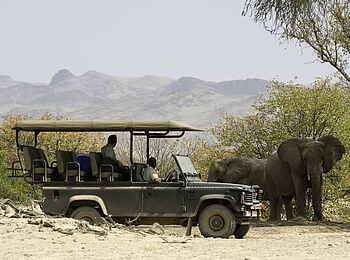 Hoanib Skeleton Coast Camp: Elefanten haben Vorfahrt Hoanib Skeleton Coast Camp: Elefanten haben Vorfahrt