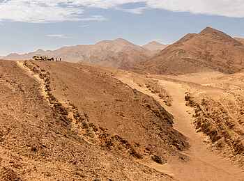 Hoanib Valley Camp: Gamedrive mit Aussicht Hoanib Valley Camp: Gamedrive mit Aussicht