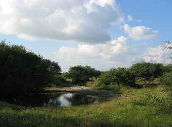 Khama Rhino Sanctuary: Wasserloch Khama Rhino Sanctuary: Wasserloch