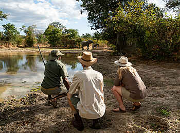 Mara River Camp: Am Wasserloch Mara River Camp: Am Wasserloch