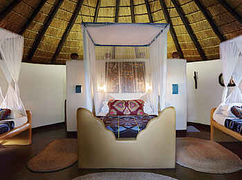 Planet Baobab: Die Family Suite Planet Baobab: Die Family Suite