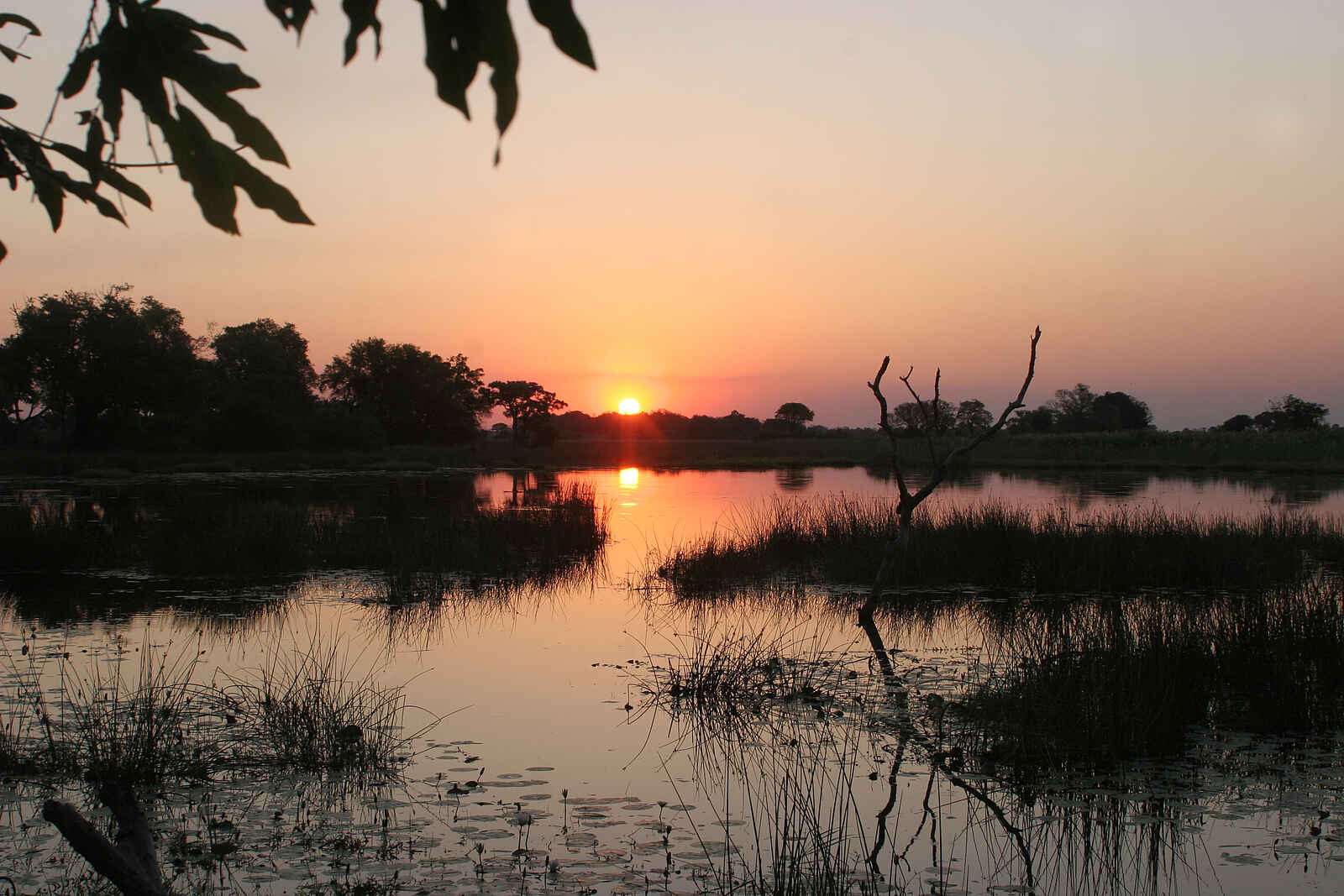 Pom Pom Camp: Sonnenuntergang über der Pom Pom Lagune Pom Pom Camp: Sonnenuntergang über der Pom Pom Lagune