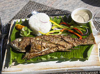 The Aiyana: Fangfrischer Fisch The Aiyana: Fangfrischer Fisch