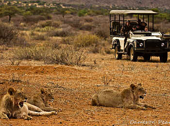Tswalu Tarkuni Homestead: Auf Pirschfahrt Tswalu Tarkuni Homestead: Auf Pirschfahrt