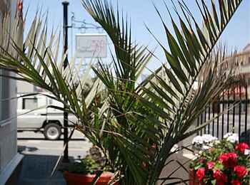 Hotel Eberwein: Pflanzen Hotel Eberwein: Pflanzen