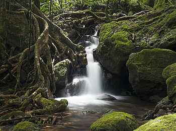 Masoala Forest Lodge: Wasserfall Masoala Forest Lodge: Wasserfall