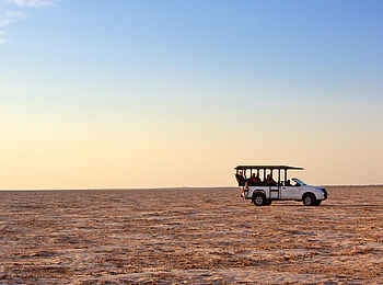 Bagatelle Kalahari Game Ranch: Game Drive