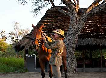 Camp Kalahari: Ein Pferd wird aufgesattelt