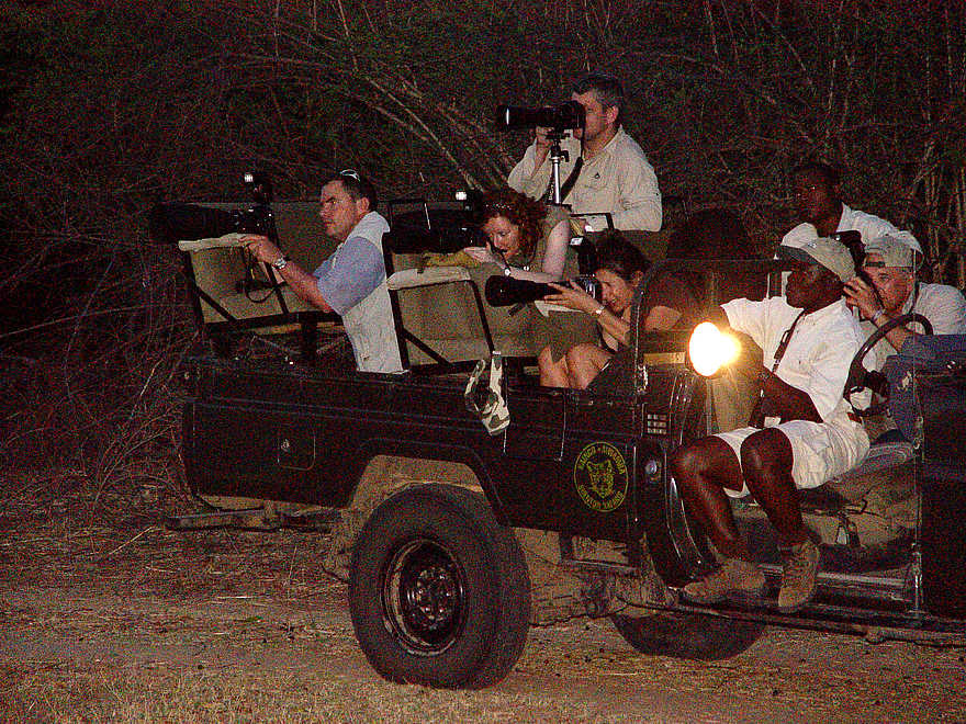 Kaingo Camp: Night Drive Kaingo Camp: Night Drive