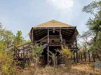 Kirawira Serena Camp: Gästezelt mit Holztreppe