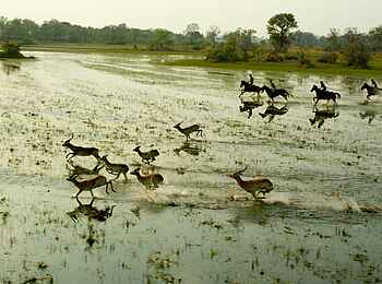 Kujwana Camp: Im Galopp mit Antilopen