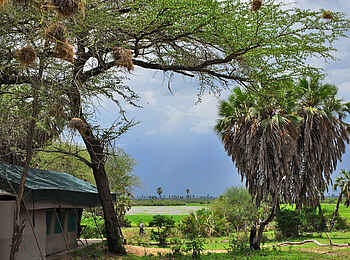 Lake Manze Camp: Regenstimmung Lake Manze Camp: Regenstimmung