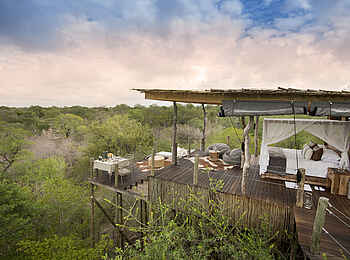 Lion Sands Kingston Treehouse: Baumhaus aus der Ferne