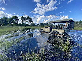 North Island Okavango Safari Camp: Pirschfahrt durchs Wasser