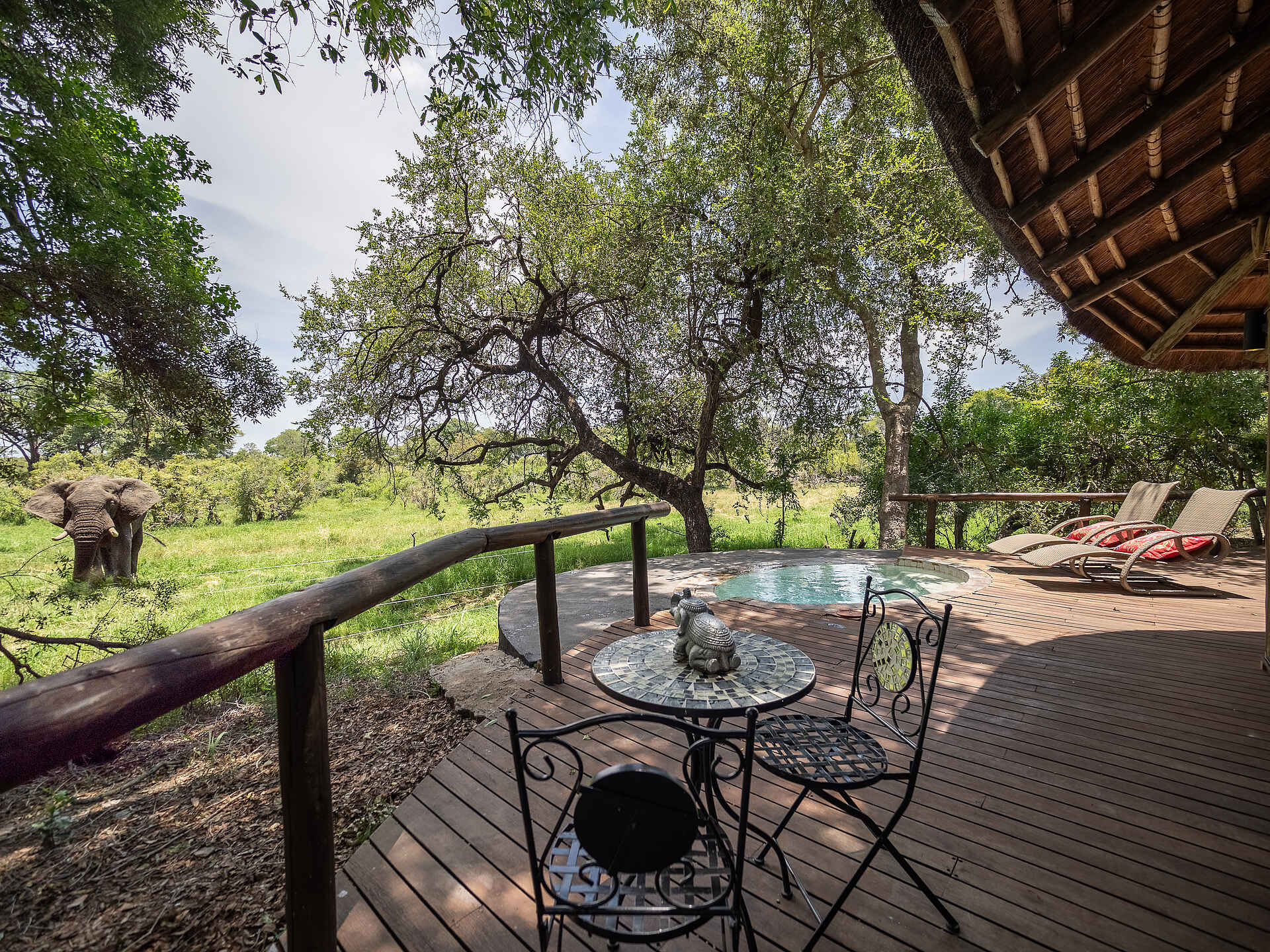 Tintswalo Safari Lodge: Ein Elefant vor der Terrasse