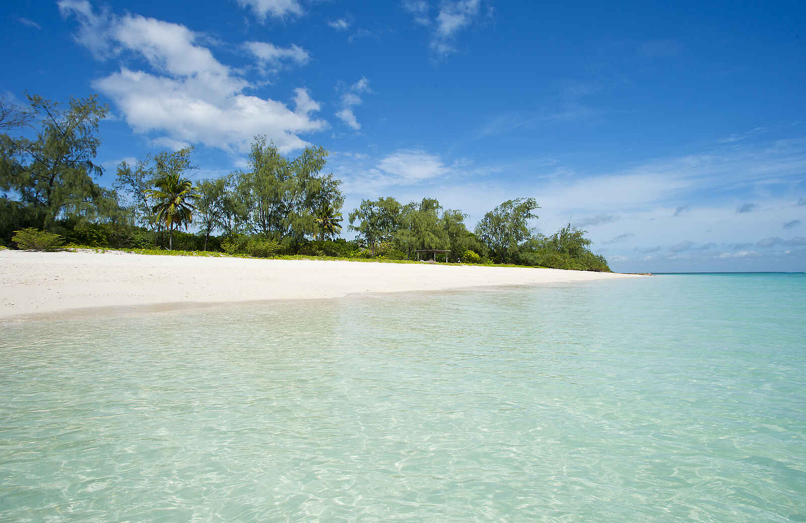 Vamizi Island: Strand Vamizi Island: Strand