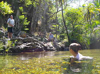 Frog and Fern Cottages: Im Naturpool Frog and Fern Cottages: Im Naturpool