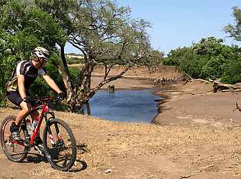 Mashatu Game Reserve: Am Wasserloch