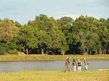 Time + Tide Luwi: Bushwalk am Fluss