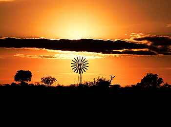 Camp Hwange: Windrad