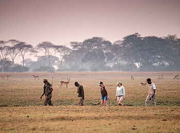 Chisa Busanga Camp: Walking Safari