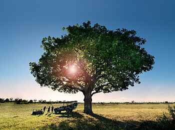 Daunara Safari Camp: Pause