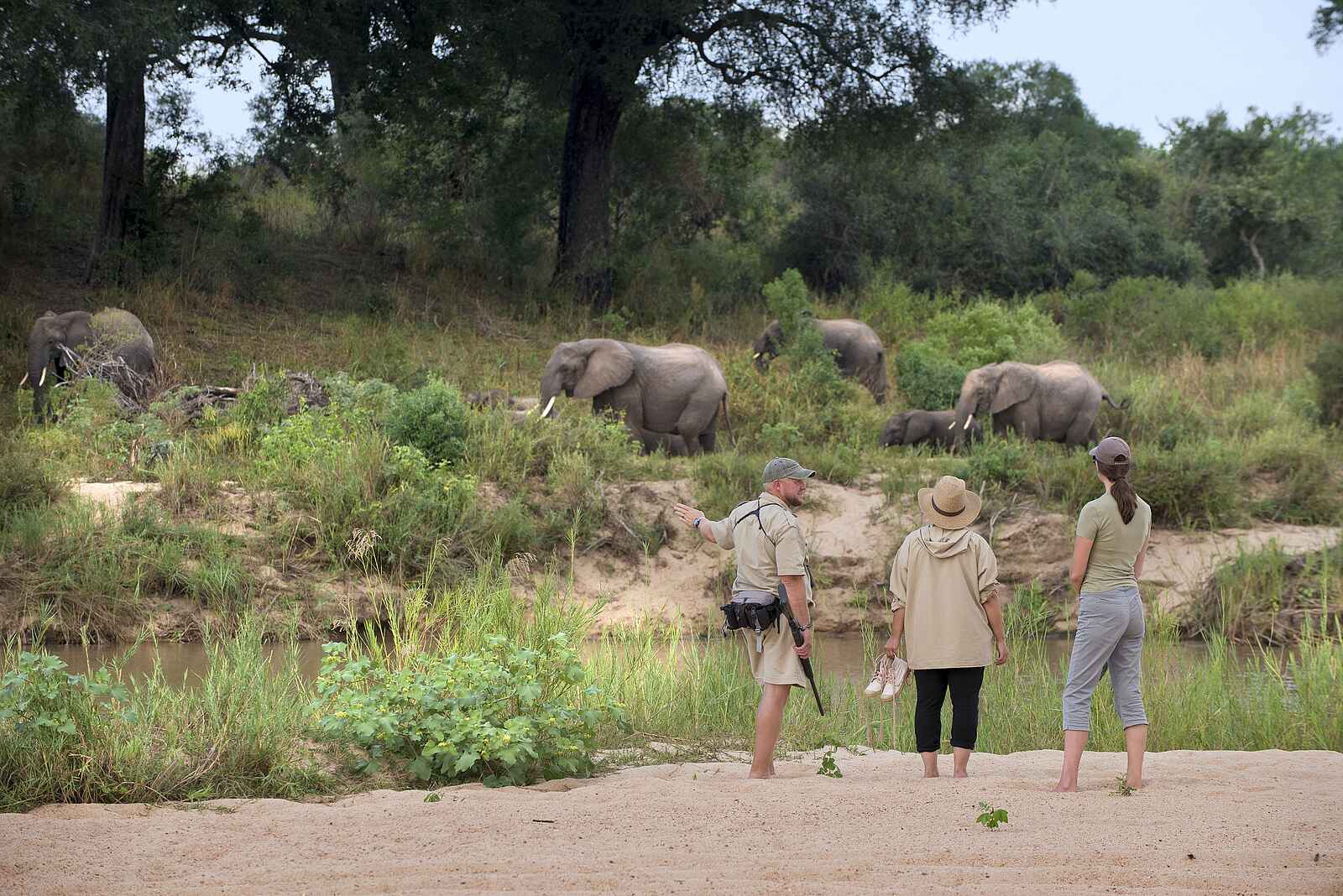 Dulini River Lodge: Walking Safari Dulini River Lodge: Walking Safari