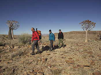 Fish River Lodge: Expedition entlang der Köcherbäume
