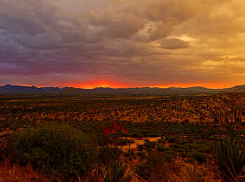 GocheGanas: Land in der Dämmerung